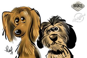 Animal Event Voskes 2 Animal Event Voskes 2